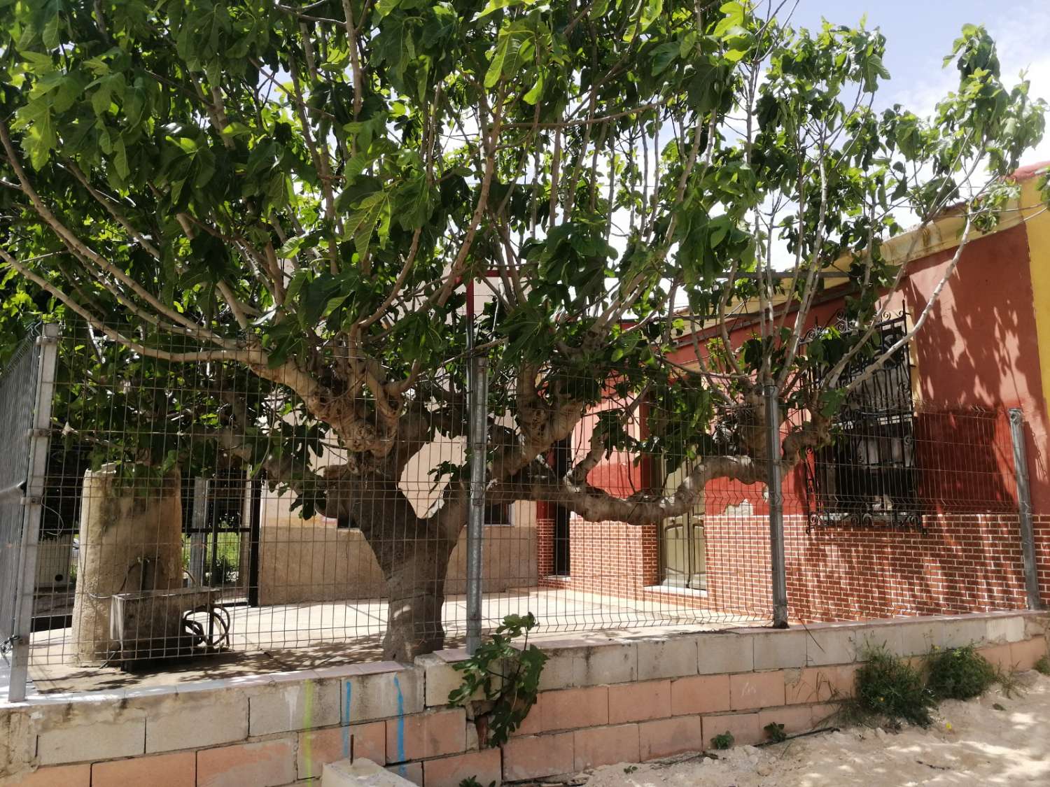 For sale - 3 Bedroom 1 Bathroom Villa in Orihuela -  - Alicante