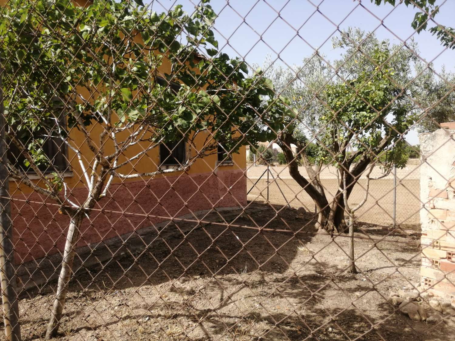 For sale - 3 Bedroom 1 Bathroom Villa in Orihuela -  - Alicante