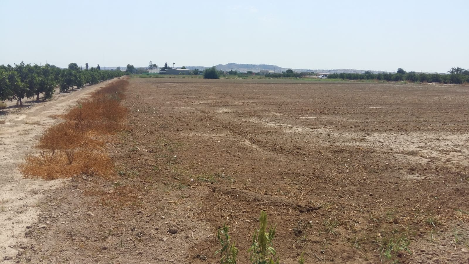 For sale - 3 Bedroom 1 Bathroom Country House in Daya nueva -  - Alicante