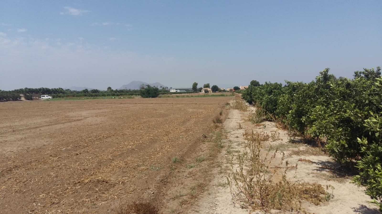 For sale - 3 Bedroom 1 Bathroom Country House in Daya nueva -  - Alicante