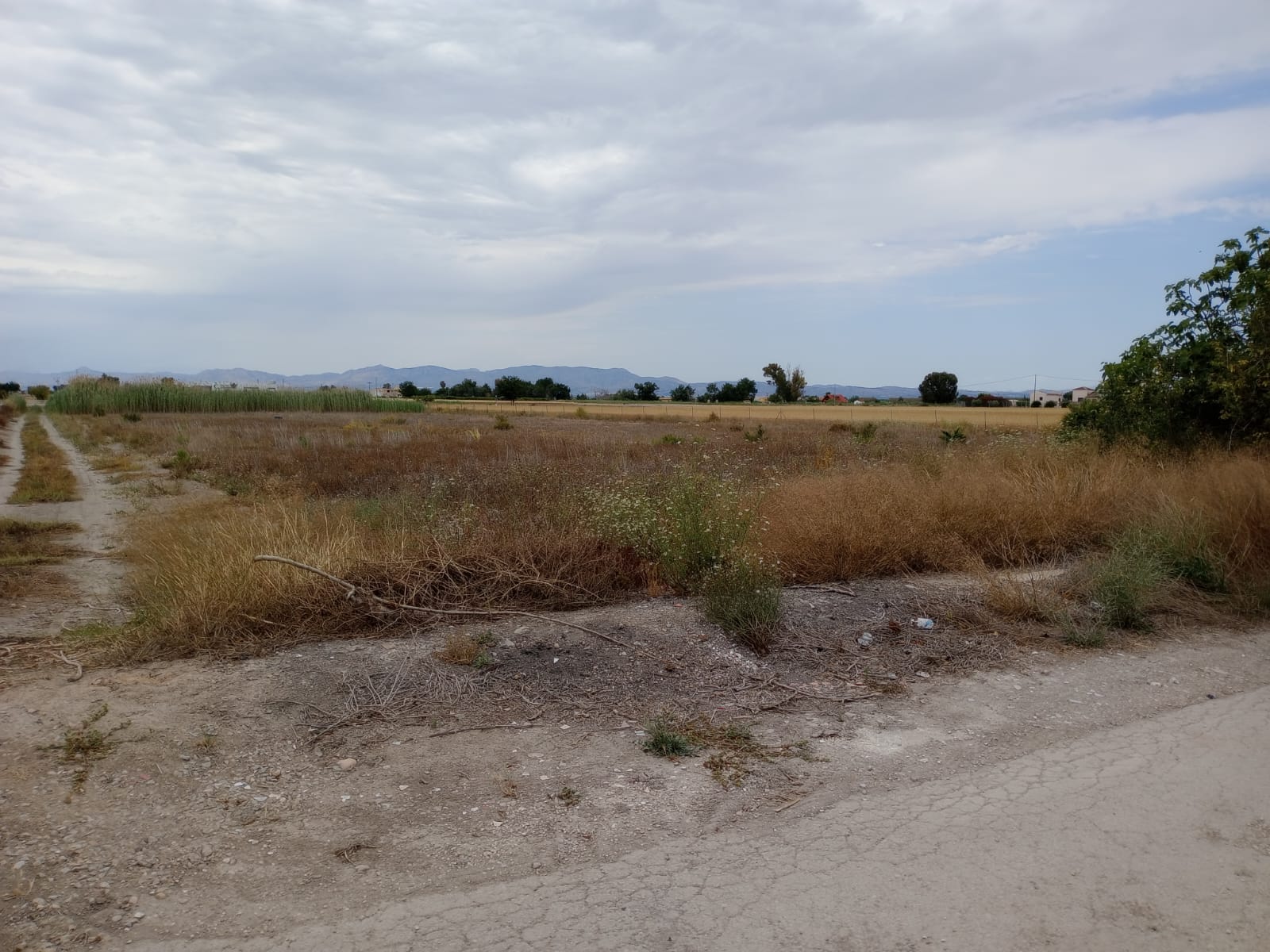 For sale - Plot in San Fulgencio -  - Alicante
