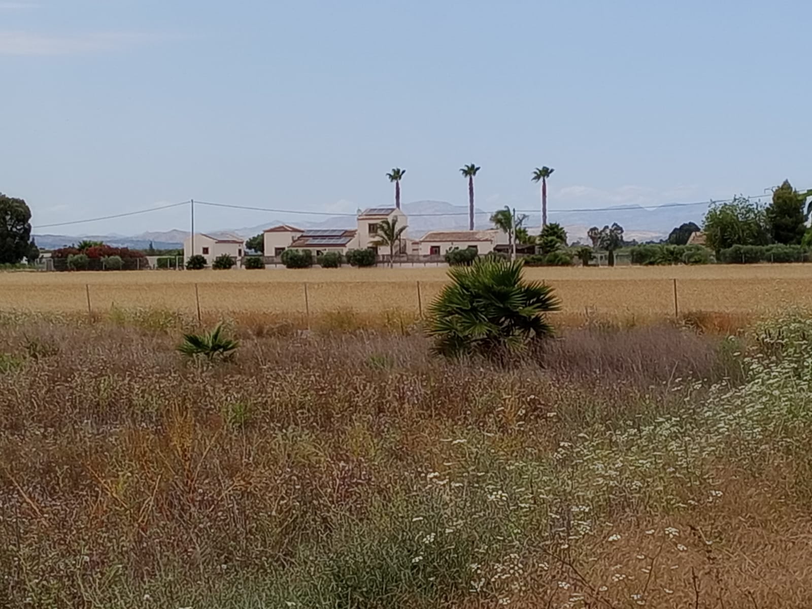 For sale - Plot in San Fulgencio -  - Alicante