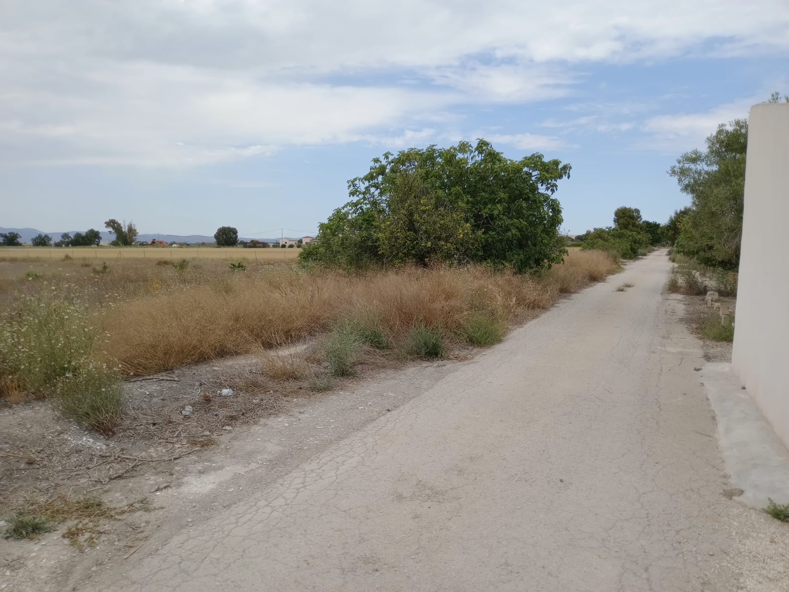 For sale - Plot in San Fulgencio -  - Alicante