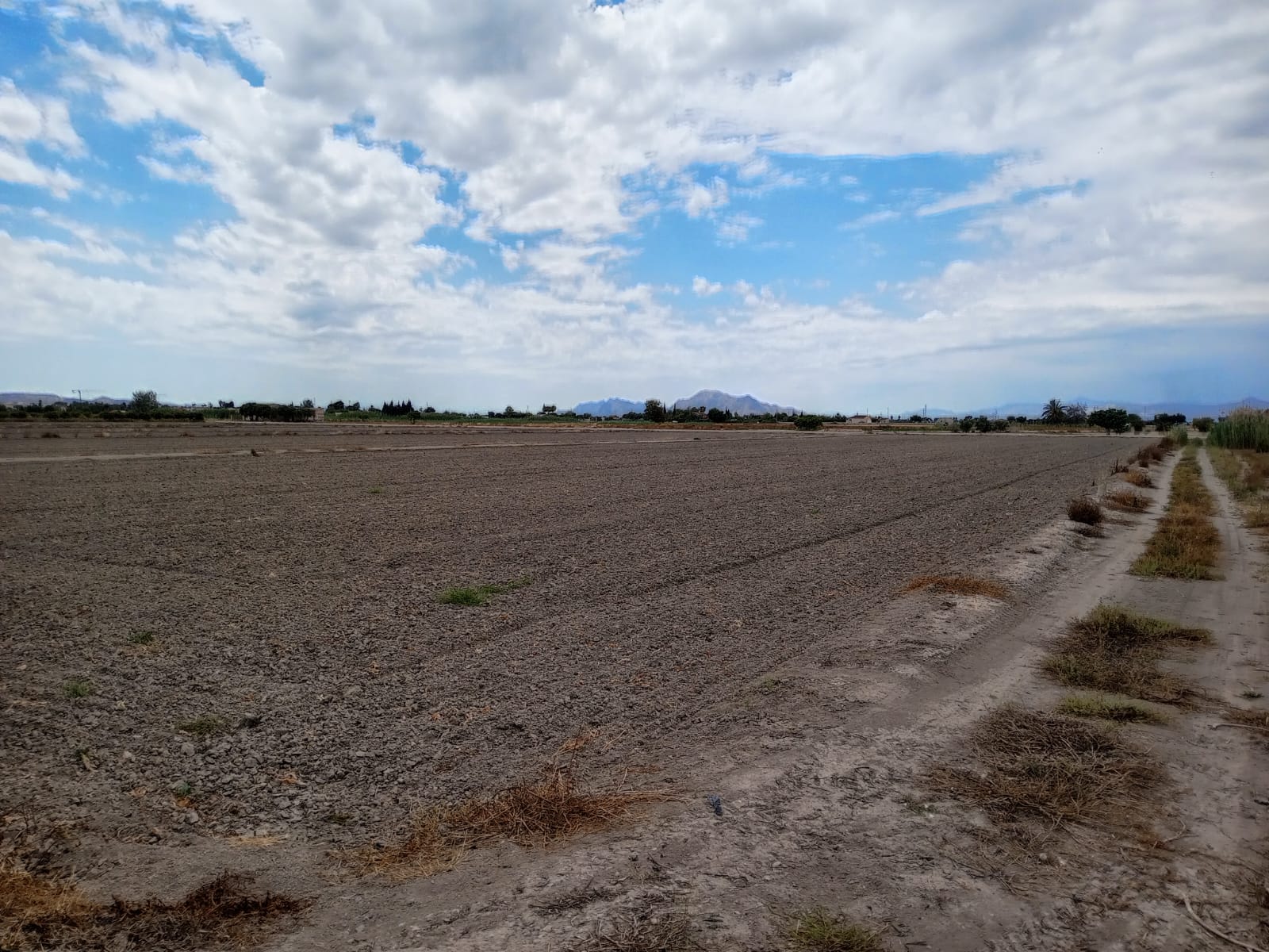 For sale - Plot in San Fulgencio -  - Alicante