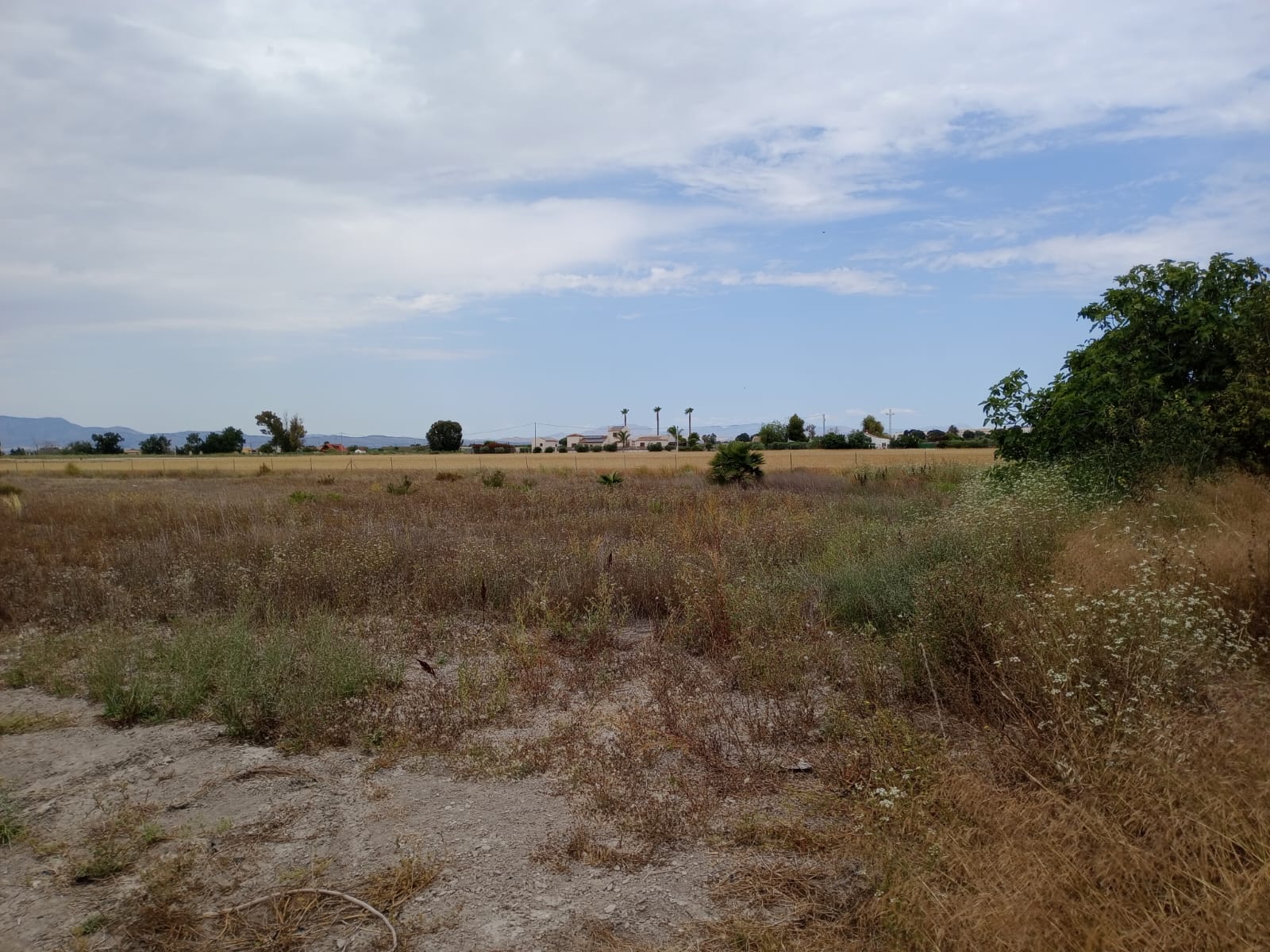 For sale - Plot in San Fulgencio -  - Alicante