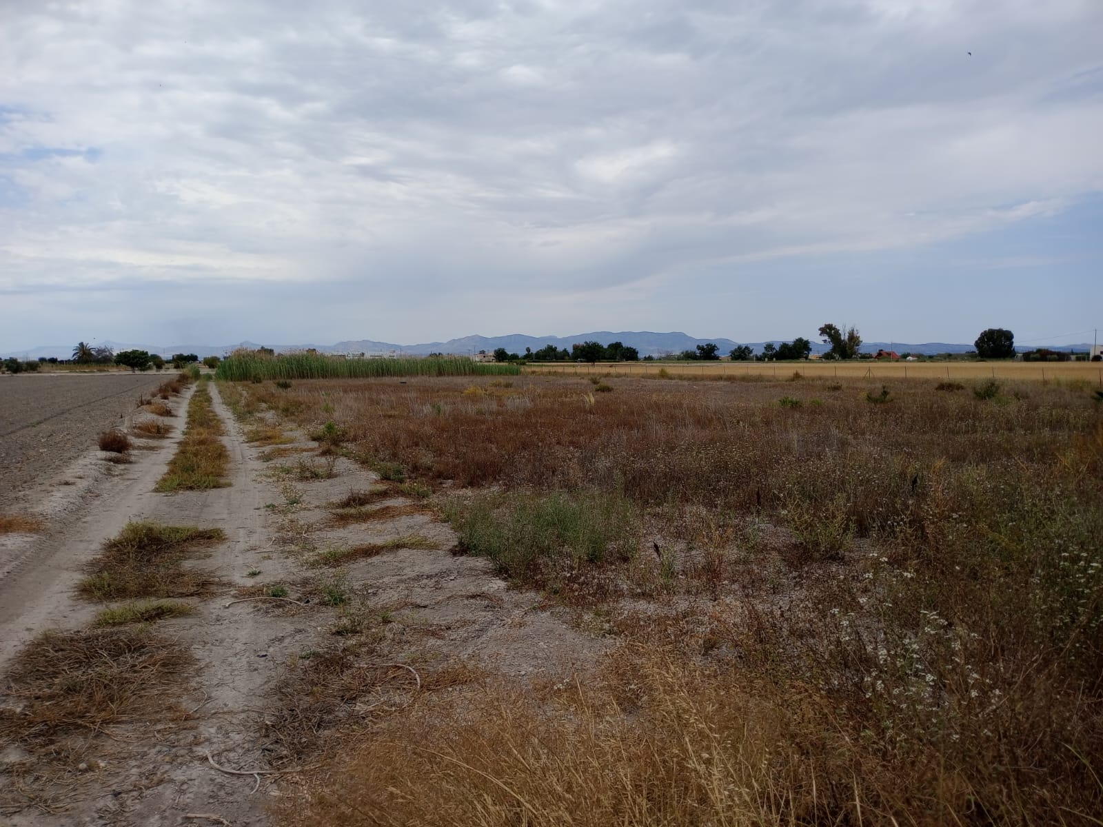 For sale - Plot in San Fulgencio -  - Alicante