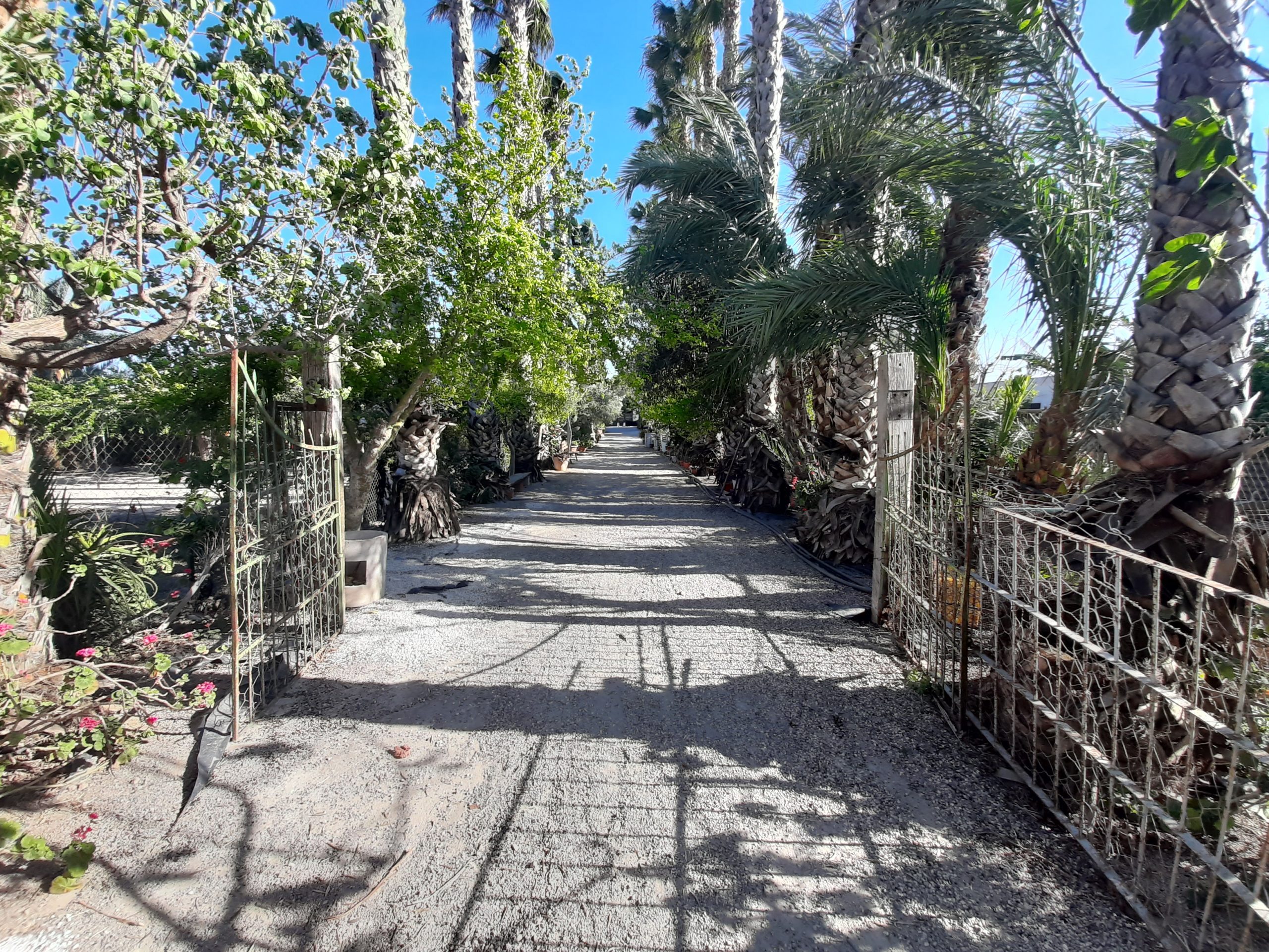 For sale - 8 Bedroom 8 Bathroom  in Orihuela -  - Alicante