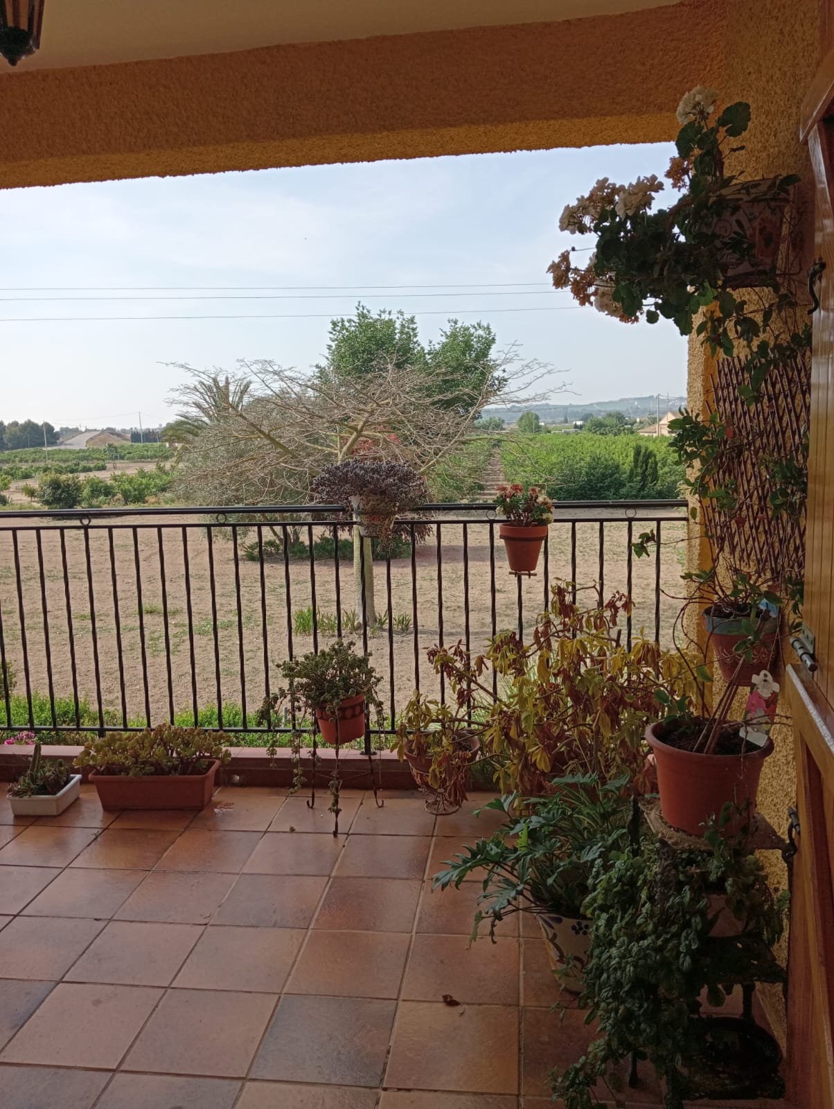 For sale - 4 Bedroom 3 Bathroom  in Daya nueva -  - Alicante