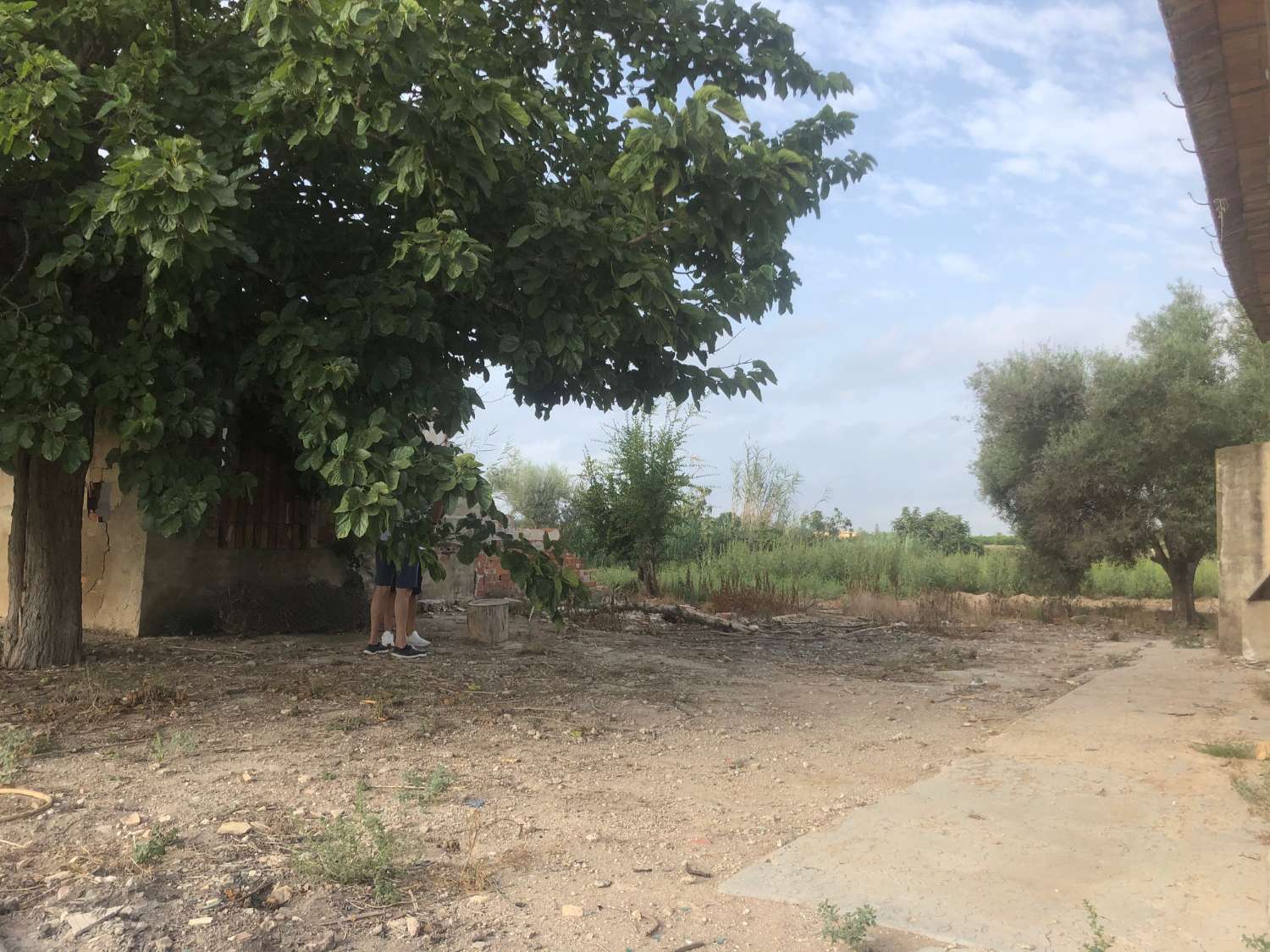 For sale -  in Callosa de Segura -  - Alicante