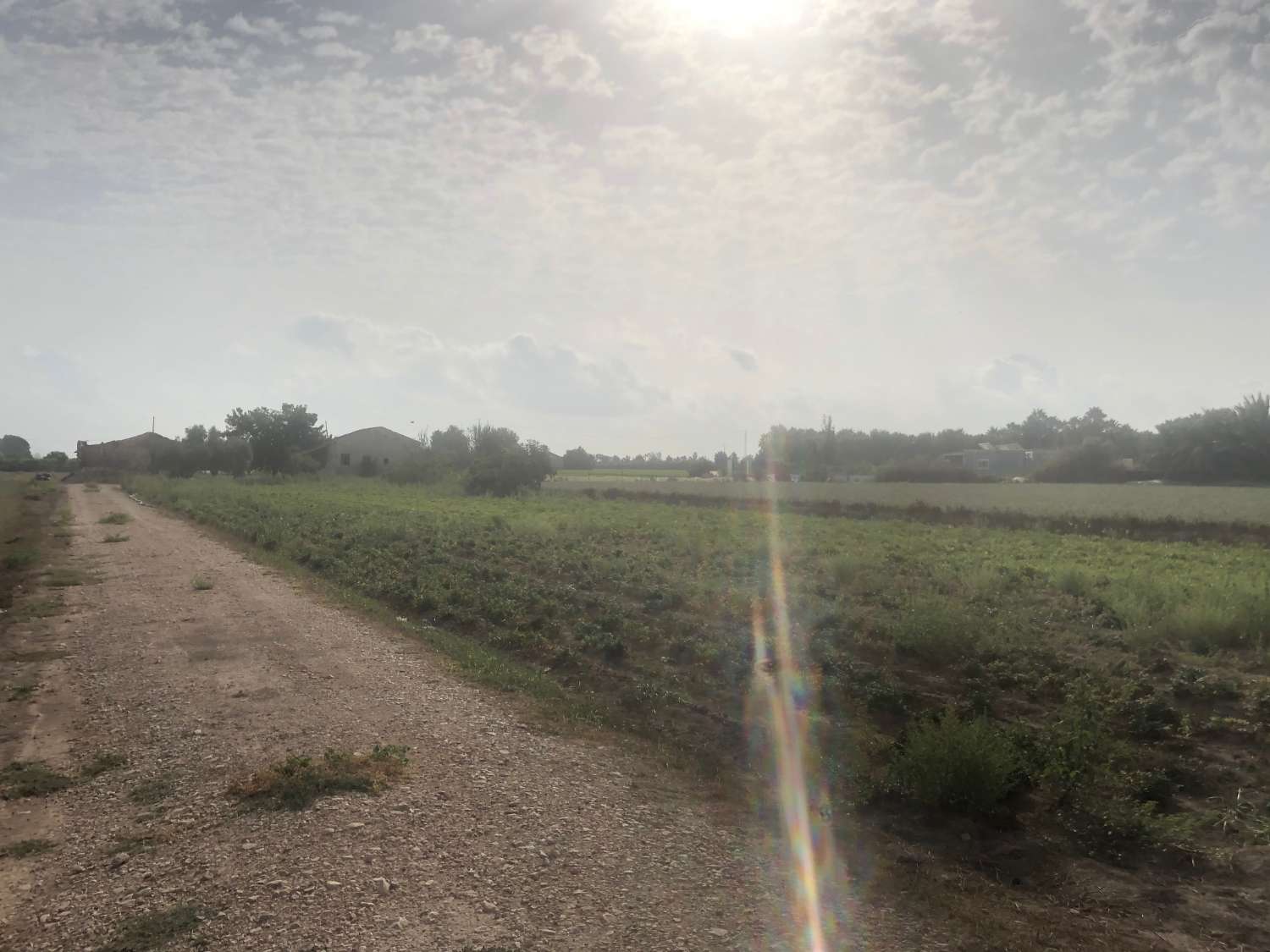 For sale -  in Callosa de Segura -  - Alicante