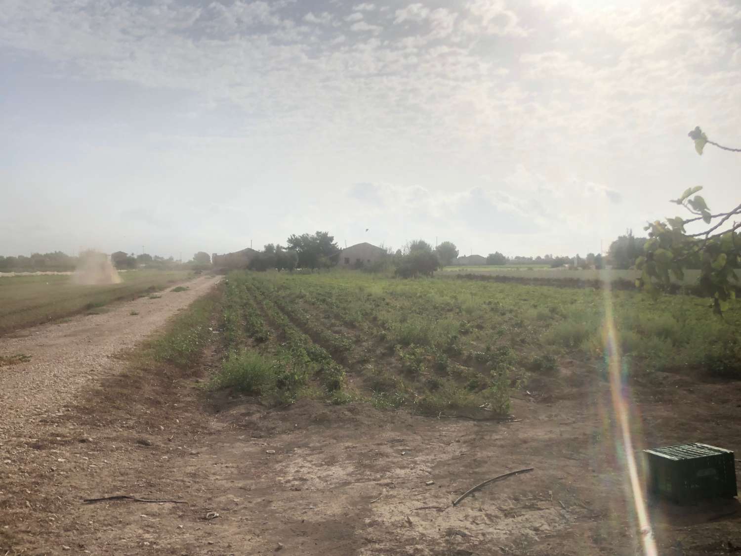 For sale -  in Callosa de Segura -  - Alicante