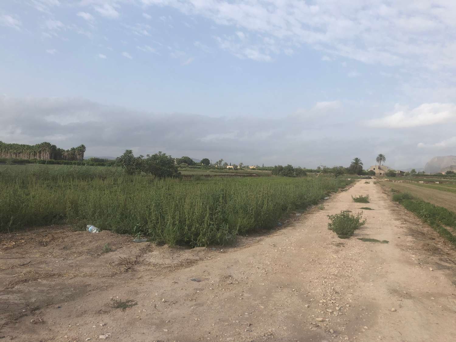 For sale -  in Callosa de Segura -  - Alicante