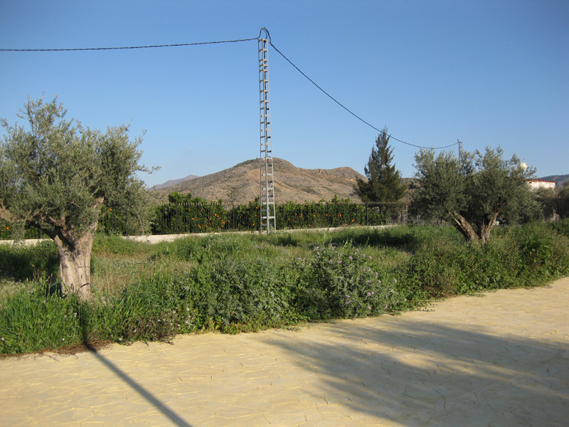 For sale - 3 Bedroom 2 Bathroom  in Benferri -  - Alicante