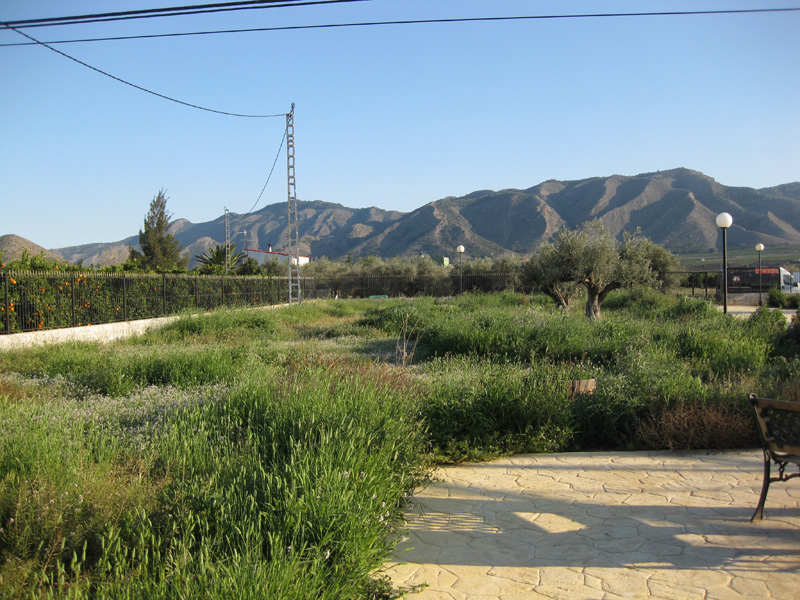 For sale - 3 Bedroom 2 Bathroom  in Benferri -  - Alicante