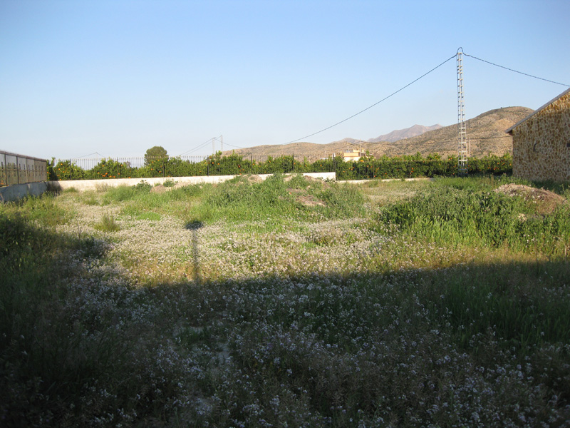 For sale - 3 Bedroom 2 Bathroom  in Benferri -  - Alicante