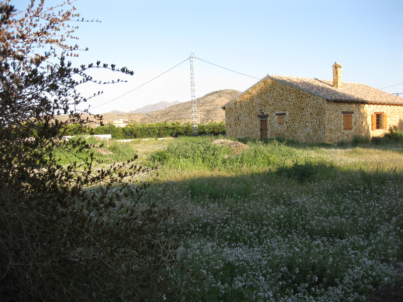 For sale - 3 Bedroom 2 Bathroom  in Benferri -  - Alicante