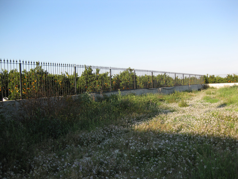 For sale - 3 Bedroom 2 Bathroom  in Benferri -  - Alicante